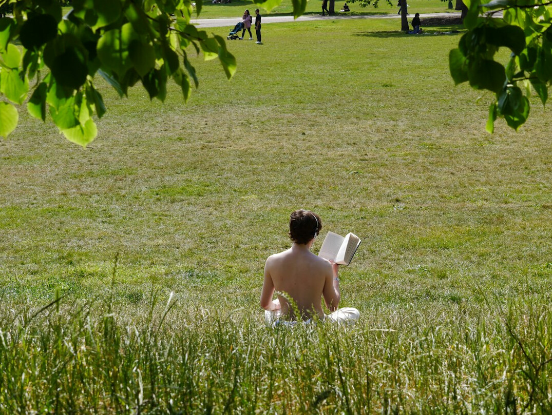 man reading newspaper in park